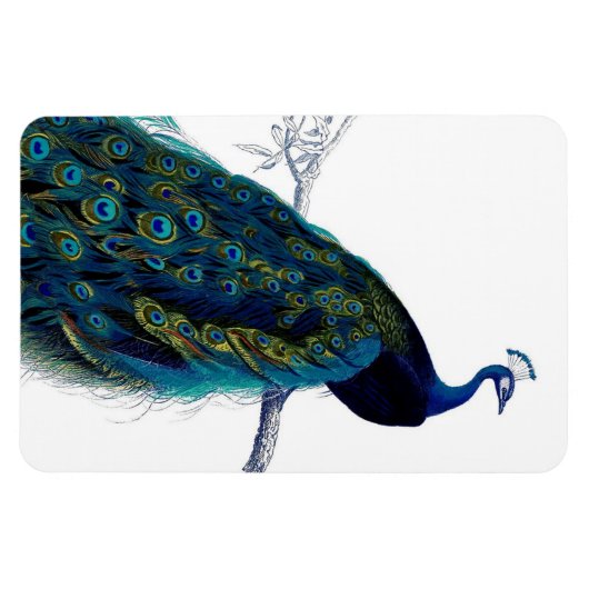 Vintages Blue Elegante Magnet (Horizontal)