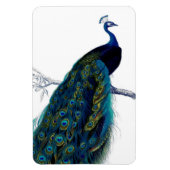 Vintages Blue Elegante Magnet (Vertikal)