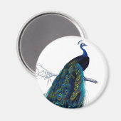 Vintages Blue Elegante Magnet (Vorderseite/Rückseite)