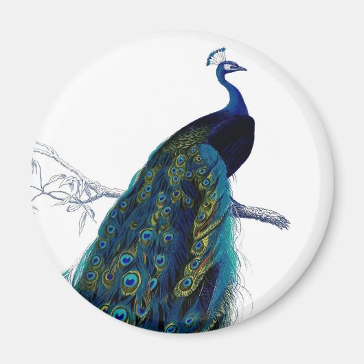 Vintages Blue Elegante Magnet (Vorne)
