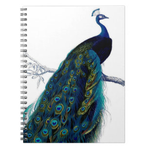 Vintages Blue Elegante Notizblock