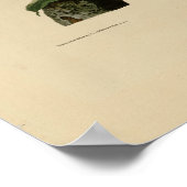 Vintages Bluebird Painting Poster (Ecke)