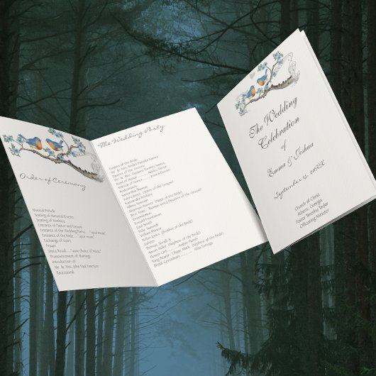 Vintages Bluebird-Programm