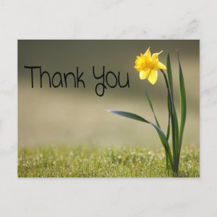Vintages Blumenbegehren Danke Yellow Daffodil Blum Postkarte