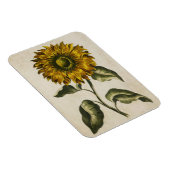 Vintages Blumenmagazin Magnet (Rechte Seite)