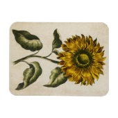 Vintages Blumenmagazin Magnet (Horizontal)