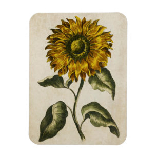 Vintages Blumenmagazin Magnet