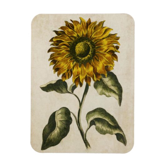 Vintages Blumenmagazin Magnet (Vertikal)