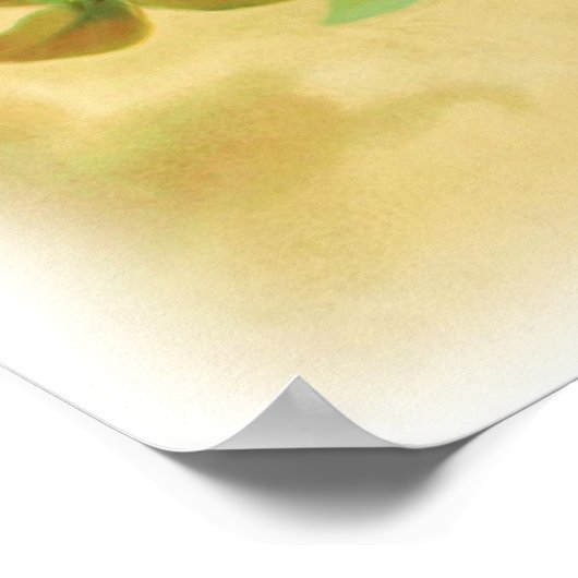 Vintages Blumenposter Poster (Ecke)