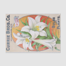 Vintages Blumenseidenpapier Osterlilien-1905 Seidenpapier