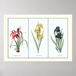 Vintages Blumenstrauß Botanische Kunst Poster