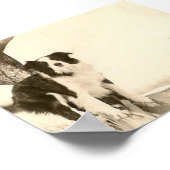 Vintages Border Collie Poster (Ecke)