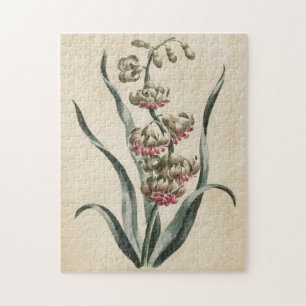 Vintages botanisches BlumenHyakinth Puzzle