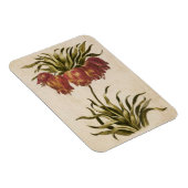 Vintages botanisches Blumenmagazin Magnet (Rechte Seite)