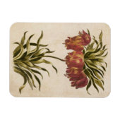 Vintages botanisches Blumenmagazin Magnet (Horizontal)