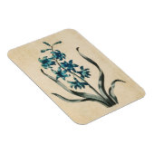 Vintages botanisches Blumenmagazin Magnet (Rechte Seite)