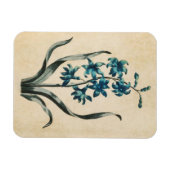 Vintages botanisches Blumenmagazin Magnet (Horizontal)