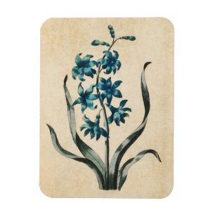 Vintages botanisches Blumenmagazin Magnet