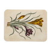 Vintages botanisches Blumenmagnet Magnet (Horizontal)