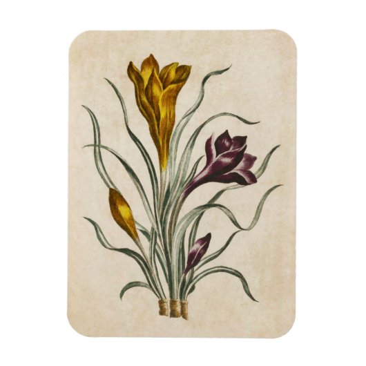 Vintages botanisches Blumenmagnet Magnet (Vertikal)