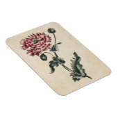 Vintages Botanisches Blumenmohn Magnet (Rechte Seite)