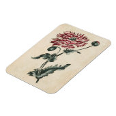Vintages Botanisches Blumenmohn Magnet (Linke Seite)