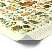 Vintages botanisches Druckpolster-Wissenspatch Poster (Ecke)