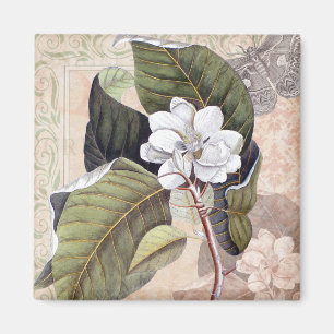Vintages botanisches Elegantes Südliches Magnolia Magnet