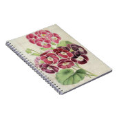 Vintages botanisches Extravagantes Pelargonium Notizblock (Rechte Seite)