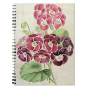 Vintages botanisches Extravagantes Pelargonium Notizblock