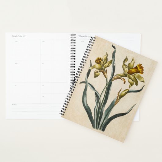 Vintages botanisches florales Daffodil Planer (Anzeige)