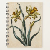 Vintages botanisches florales Daffodil Planer (Vorderseite)