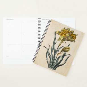 Vintages botanisches florales Daffodil Planer