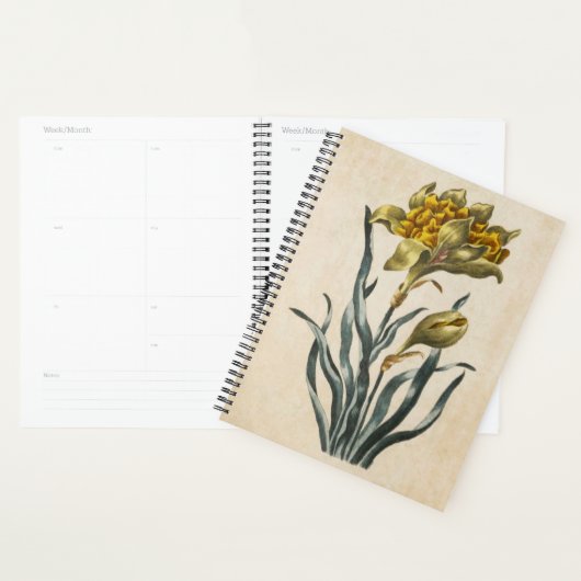 Vintages botanisches florales Daffodil Planer (Anzeige)