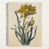 Vintages botanisches florales Daffodil Planer (Vorderseite)