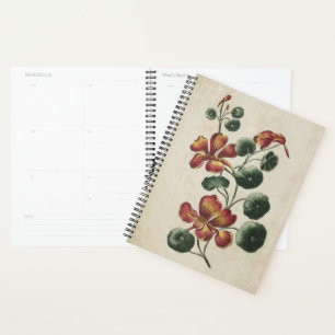 Vintages botanisches florales Nasturtium Planer
