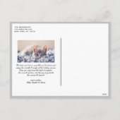 Vintages botanisches Foto Feiertagspostkarte (Rückseite)