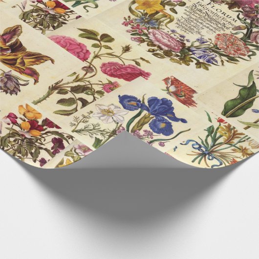 Vintages botanisches Gewebe für Entdeckungen Geschenkpapier (Ecke)