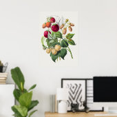 Vintages botanisches Illustrationspaket Poster (Heimbüro)