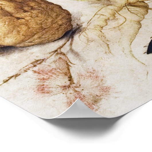 Vintages botanisches Illustrationspaket Poster (Ecke)