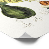 Vintages botanisches Illustrationspaket Poster (Ecke)