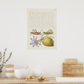 Vintages botanisches Illustrationspaket Poster (Küche)
