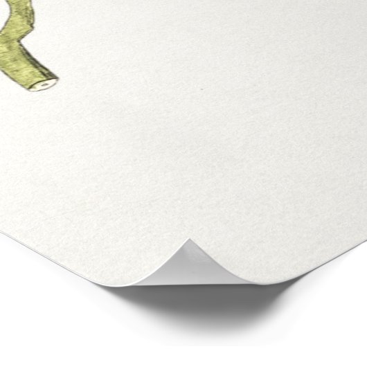 Vintages botanisches Illustrationspaket Poster (Ecke)