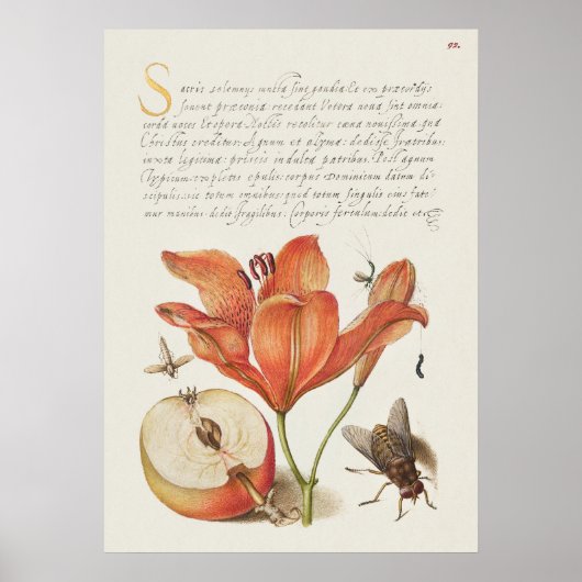 Vintages botanisches Illustrationspaket Poster (Vorne)