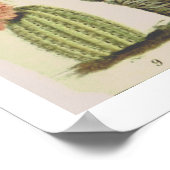Vintages botanisches Kaktus-Illustrations-Poster Poster (Ecke)