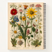 Vintages botanisches KompositionsNotebook Notizblock (Rückseite)
