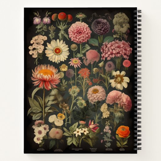 Vintages botanisches KompositionsNotebook Notizblock (Rückseite)