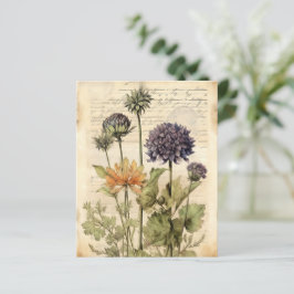 Vintages botanisches Kräuterbuch