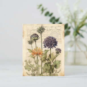 Vintages botanisches Kräuterbuch