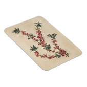 Vintages botanisches Mezereon Magnet (Rechte Seite)